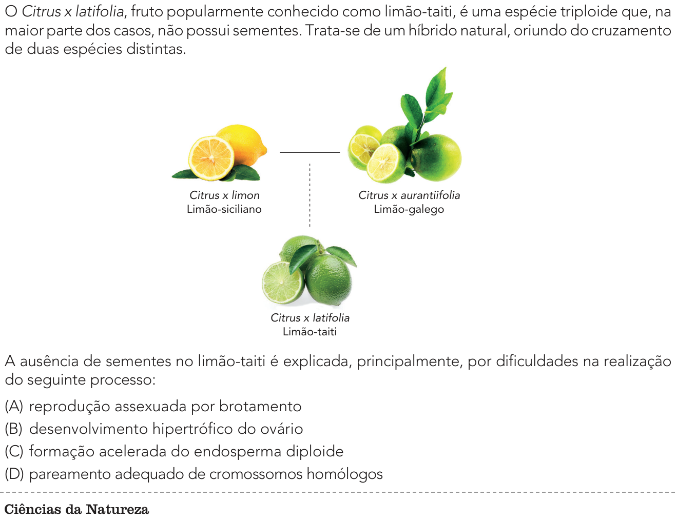 Questão 44 no caderno 1º Exame de Qualificação da UERJ 2025