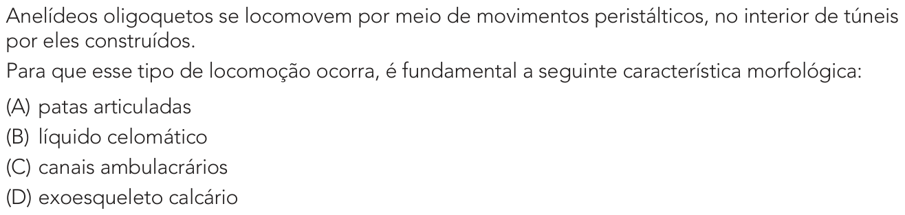 Questão 43 no caderno 2º Exame de Qualificação da UERJ 2025