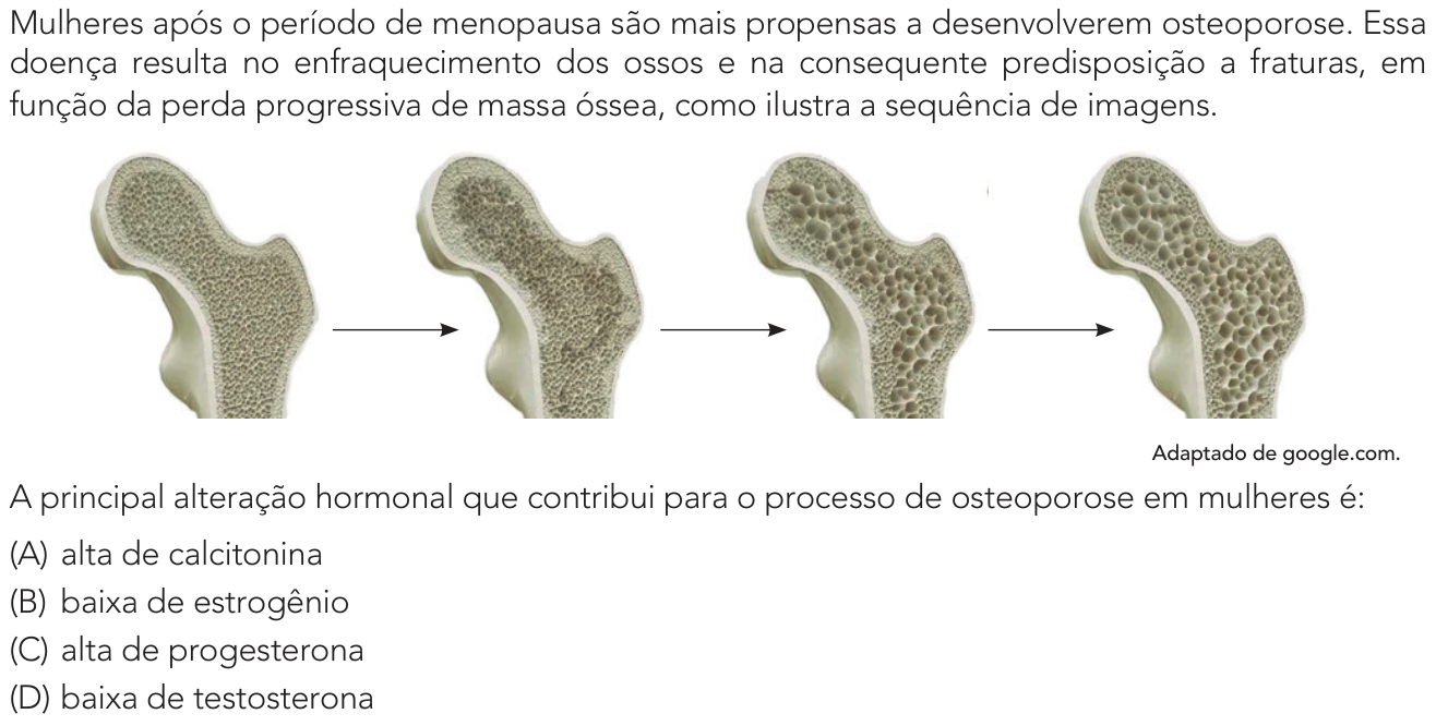 Questão 35 no caderno 1º Exame de Qualificação da UERJ 2026