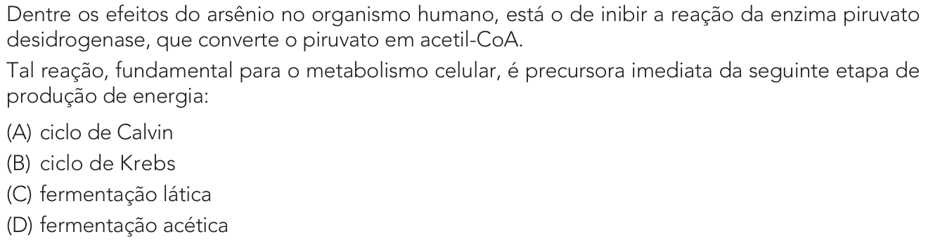 Questão 42 no caderno 1º Exame de Qualificação da UERJ 2026