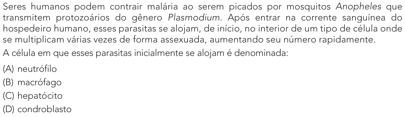 Questão 36 no caderno 2º Exame de Qualificação da UERJ 2026