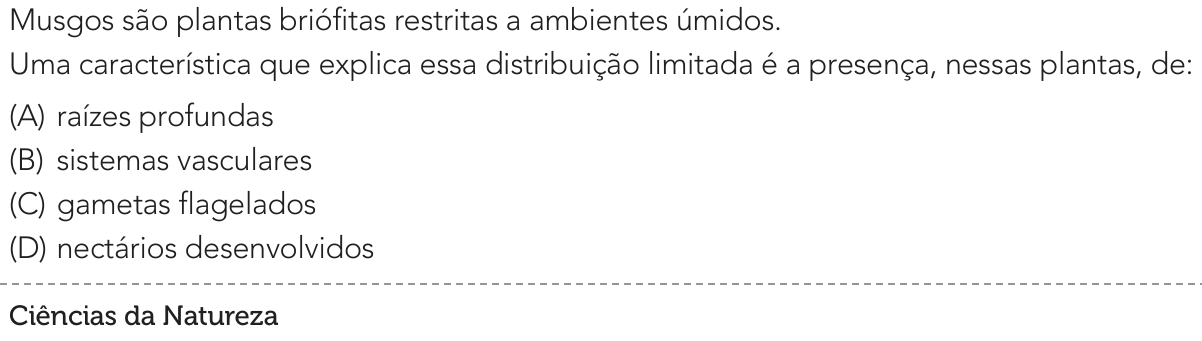 Questão 40 no caderno 2º Exame de Qualificação da UERJ 2026