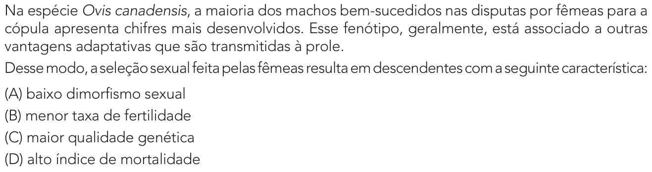 Questão 36 no caderno 1º Exame de Qualificação da UERJ 2027