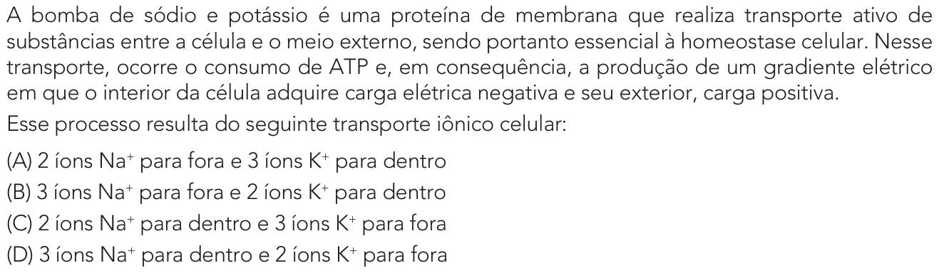 Questão 38 no caderno 1º Exame de Qualificação da UERJ 2027