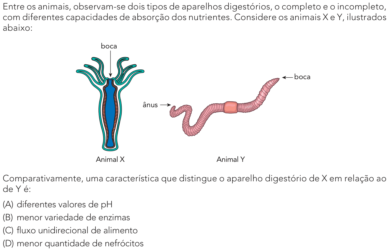 Questão 44 no caderno 2º Exame de Qualificação da UERJ 2027