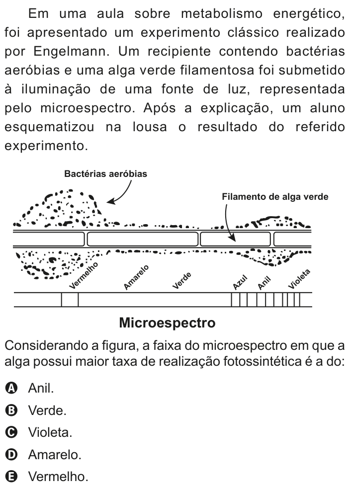 Questão 121 no caderno Azul do ENEM 2020