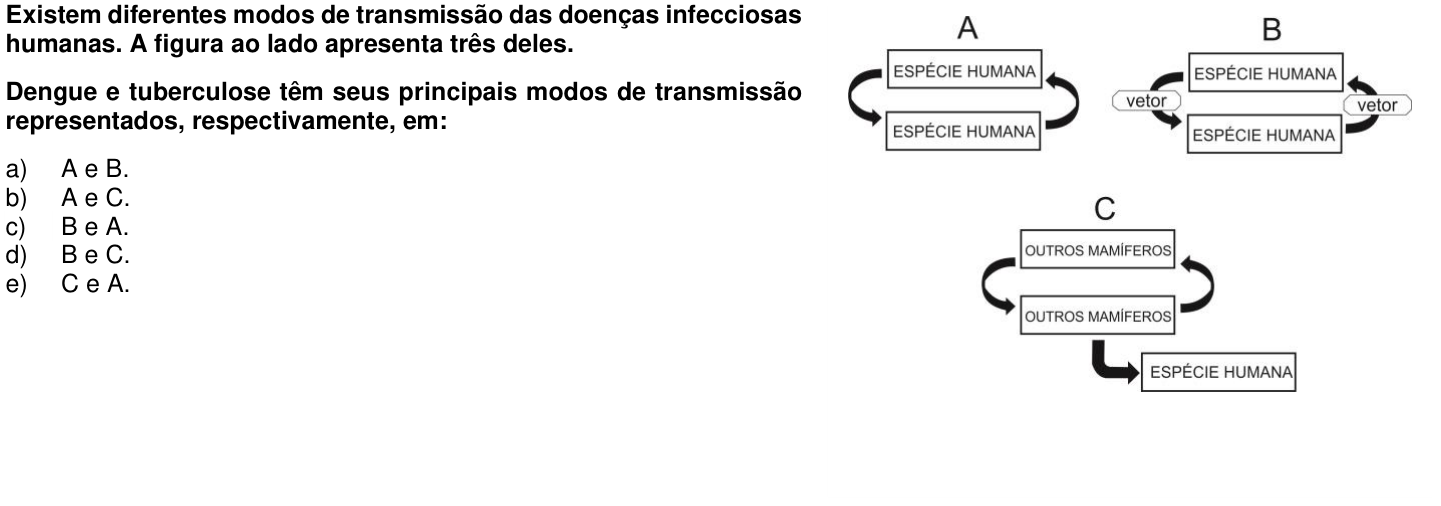 Questão 65 no caderno 1ª fase da UFPR 2016