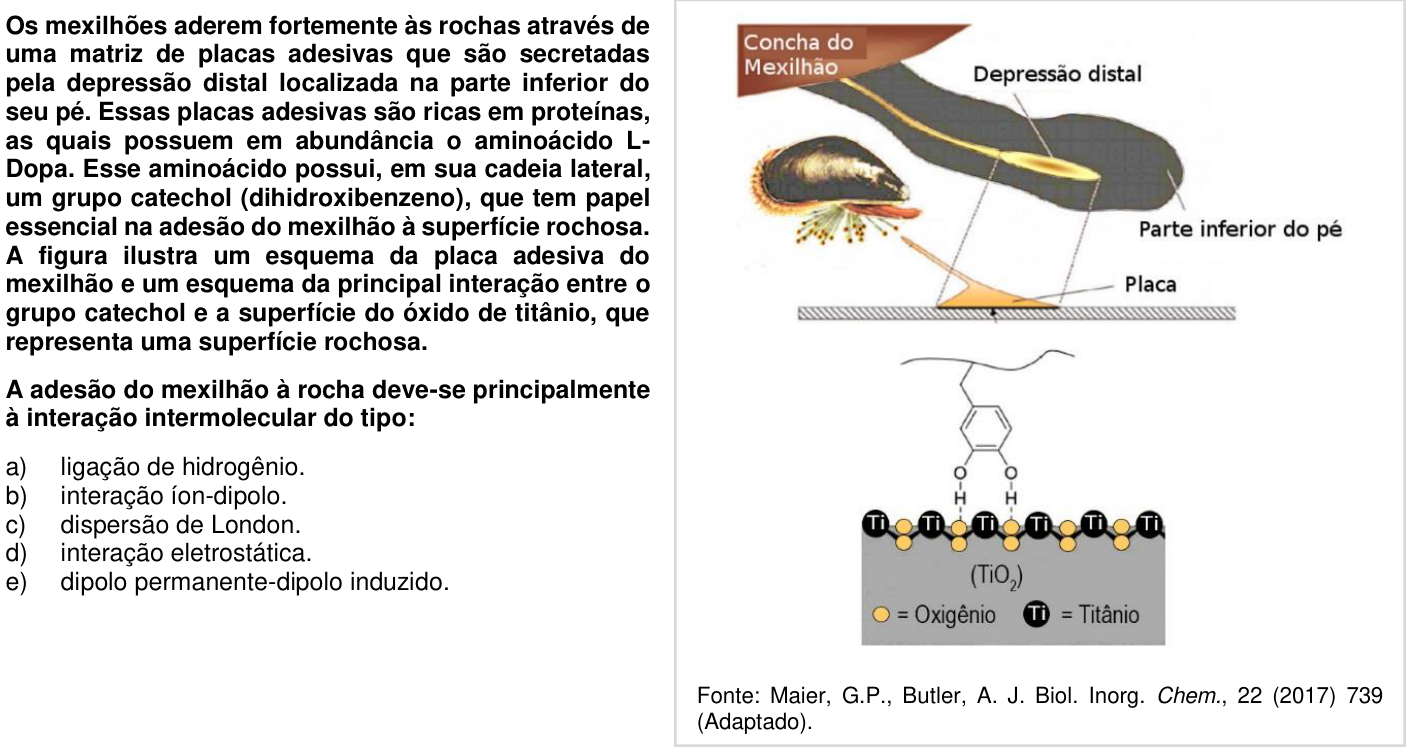 Questão 31 no caderno 1ª fase da UFPR 2018