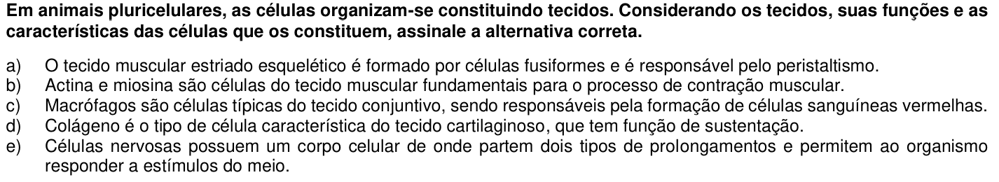 Questão 19 no caderno 1ª fase da UFPR 2019