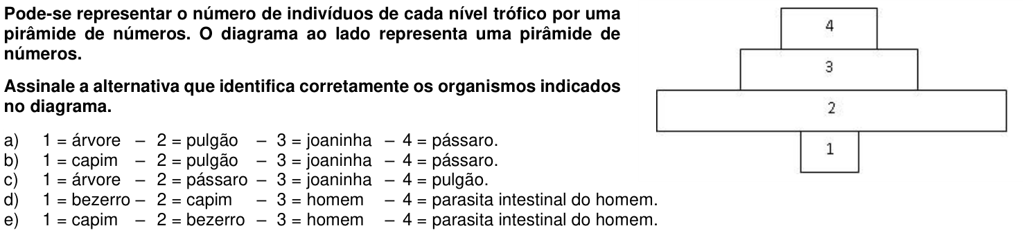 Questão 21 no caderno 1ª fase da UFPR 2019