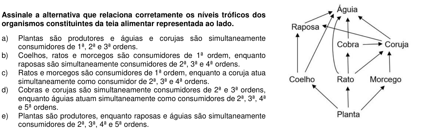 Questão 3 no caderno 1ª fase da UFPR 2020