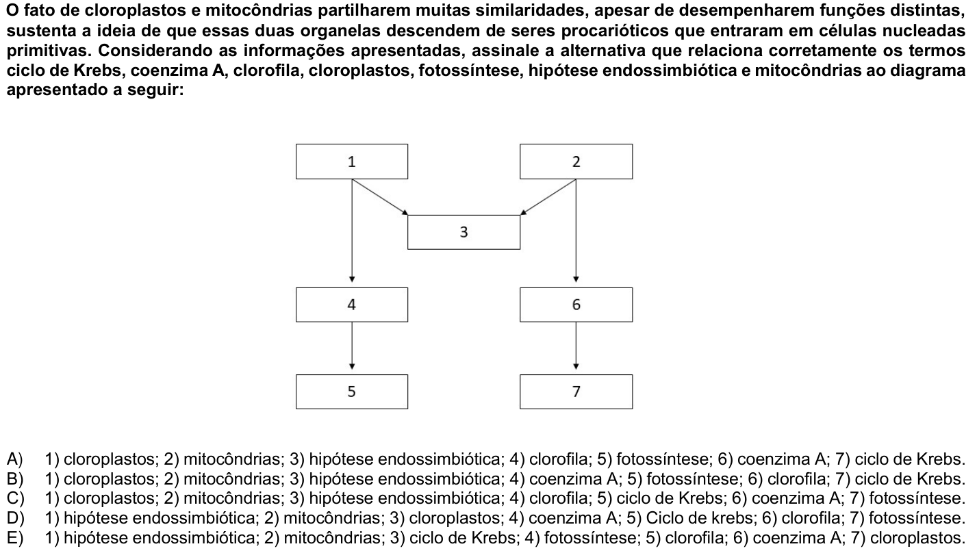 Questão 31 no caderno 1ª fase da UFPR 2024