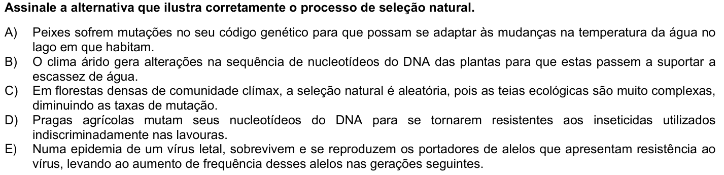 Questão 35 no caderno 1ª fase da UFPR 2024