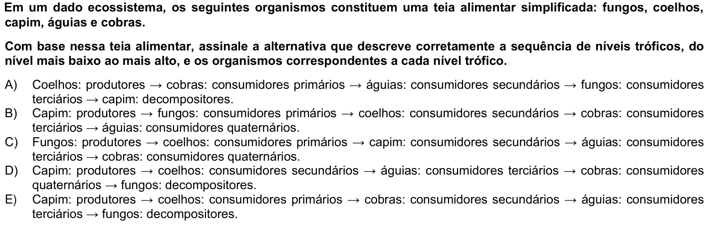Questão 32 no caderno 1ª fase da UFPR 2025