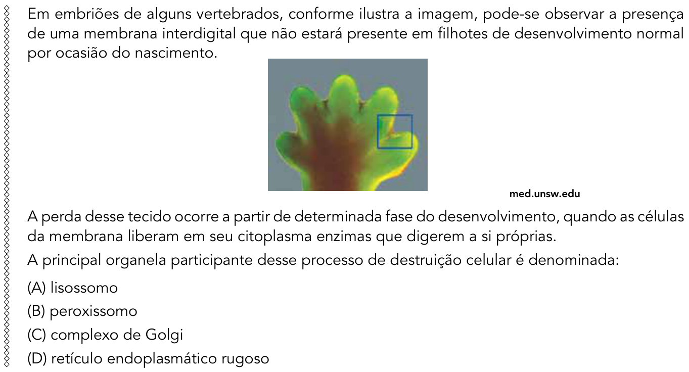 Questão 39 no caderno 1º Exame de Qualificação da UERJ 2015