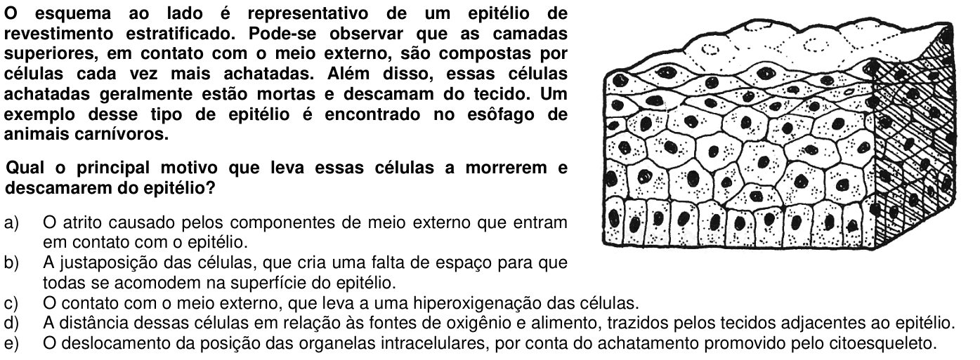 Questão 36 no caderno 1ª fase da UFPR 2011