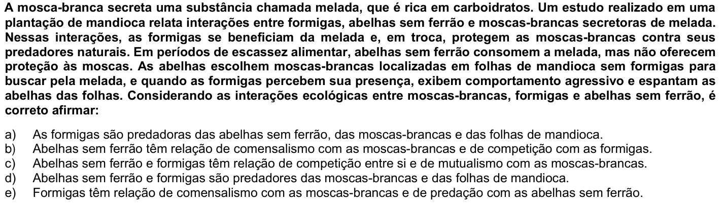Questão 31 no caderno 1ª fase · Inglês da UFPR 2021