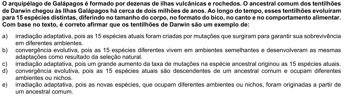 Questão 34 no caderno 1ª fase · Inglês da UFPR 2021