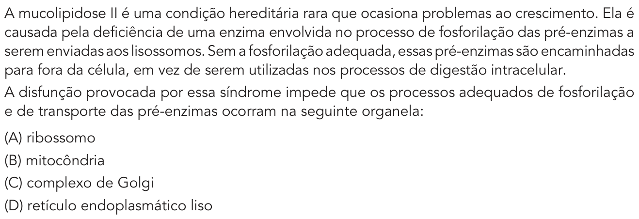 Questão 31 no caderno Exame Único da UERJ 2021