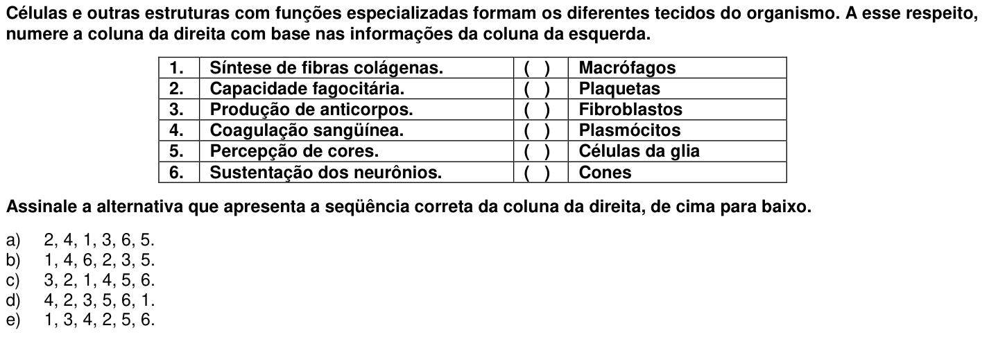 Questão 11 no caderno 1ª fase da UFPR 2006