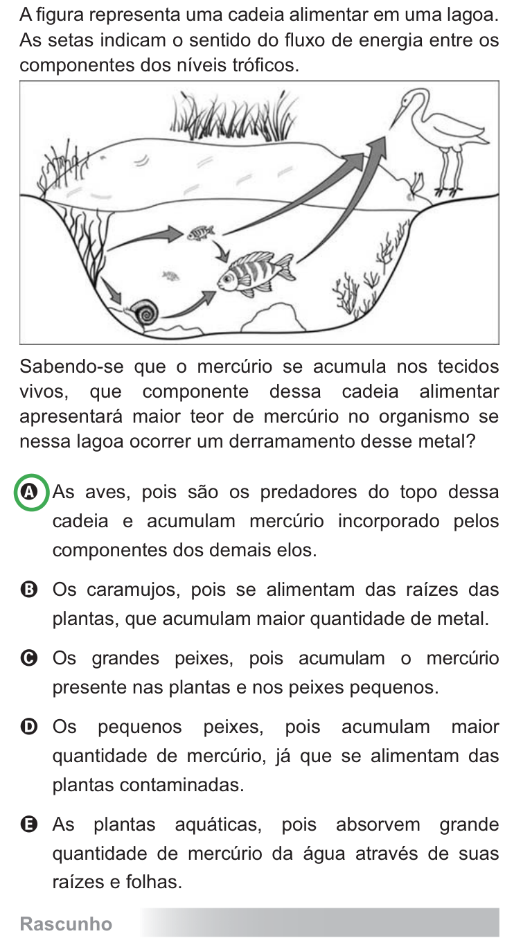 Questão 63 no caderno Azul do ENEM PPL 2010