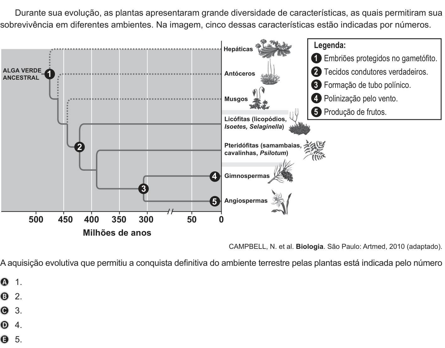 Questão 125 no caderno Azul do ENEM 2019