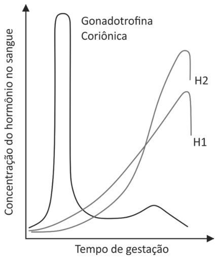 Gráfico da concentração de hormônios no sangue ao longo do tempo de gestação. A curva da Gonadotrofina Coriônica apresenta um pico expressivo no início da gestação, seguido de queda e manutenção em níveis baixos com uma leve oscilação no terço final. As curvas H1 e H2 partem de valores baixos e apresentam crescimento contínuo ao longo da gestação, atingindo seus valores máximos antes de sofrerem uma queda abrupta no final do período.