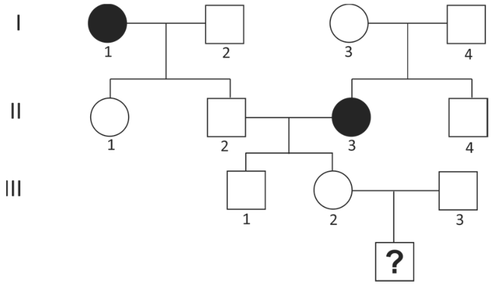 F1 Heredograma de três gerações: na geração I, a mulher 1 é afetada e o homem 2 não, enquanto o casal 3 e 4 não é afetado. Na geração II, os filhos do casal I-1 e I-2 são a mulher 1 e o homem 2; os filhos do casal I-3 e I-4 são a mulher afetada 3 e o homem 4. O homem II-2 e a mulher II-3 têm dois filhos: o homem III-1 e a mulher III-2. A mulher III-2 tem uma união com o homem III-3, gerando uma criança representada por um quadrado com uma interrogação.