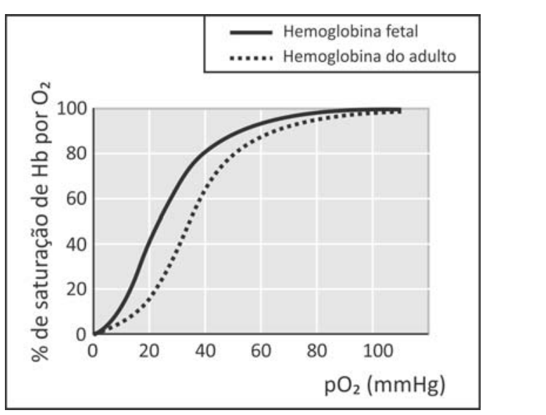 Gráfico da porcentagem de saturação de Hb por O2 em função da pressão parcial de oxigênio pO2 (mmHg). No eixo horizontal (pO2 de 0 a 110 mmHg) e no vertical (% de saturação de 0 a 100%), observam-se duas curvas: uma linha contínua para a Hemoglobina fetal e uma linha pontilhada, posicionada mais à direita (abaixo), para a Hemoglobina do adulto.