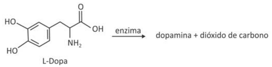 Esquema da reação de descarboxilação enzimática da L-Dopa: a molécula de L-Dopa reage sobre uma seta com a indicação "enzima", produzindo dopamina + dióxido de carbono.