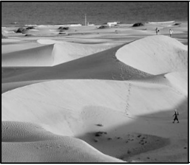 Fotografia de dunas de areia sem cobertura vegetal, com cristas curvas, áreas de sombra, marcas na areia e pessoas caminhando entre as dunas.