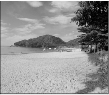 Fotografia de uma praia com ampla faixa de areia, mar à esquerda, árvores à direita e morros cobertos por vegetação ao fundo.