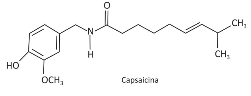 Fórmula estrutural da capsaicina