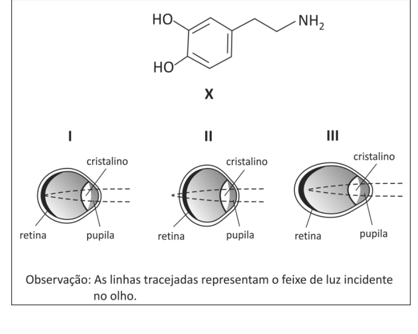 Fórmula estrutural da substância X (anel benzênico com duas hidroxilas e ramificação contendo grupo amino) e diagramas de três formatos de olho (I, II e III) identificando cristalino, pupila e retina, com feixes tracejados de luz incidente convergindo sobre a retina em I, atrás da retina em II e antes da retina em III.