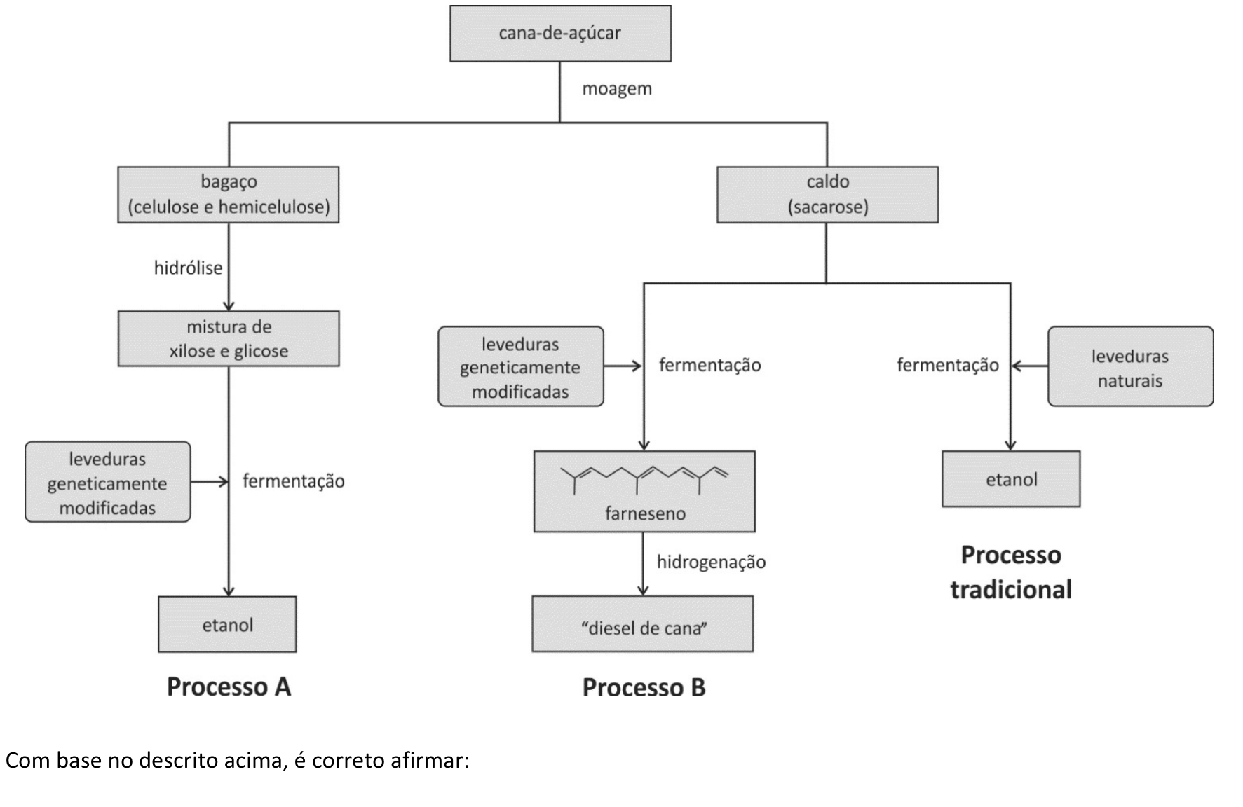 Fluxograma dos três processos de produção de biocombustíveis. A cana-de-açúcar passa por moagem, originando bagaço (celulose e hemicelulose) e caldo (sacarose). No Processo A, o bagaço passa por hidrólise, formando uma mistura de xilose e glicose, que passa por fermentação com leveduras geneticamente modificadas, produzindo etanol. No Processo B, o caldo passa por fermentação com leveduras geneticamente modificadas, produzindo farneseno, representado também por sua fórmula estrutural em bastão, com quatro ligações duplas e ramificações; a hidrogenação do farneseno produz “diesel de cana”. No Processo tradicional, o caldo passa por fermentação com leveduras naturais, produzindo etanol.