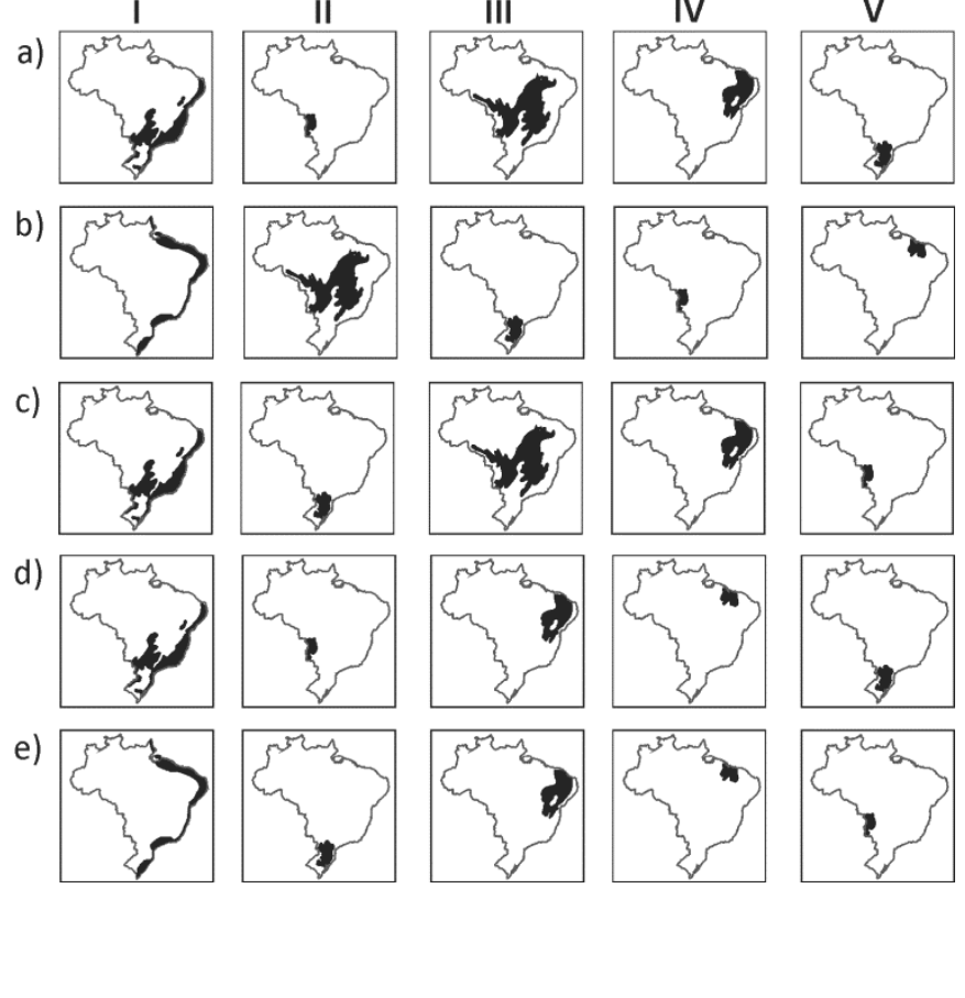 F2 Quadro com alternativas de a a e nas linhas e algarismos romanos de I a V nas colunas, contendo mapas do Brasil com diferentes biomas ou formações vegetais destacados em preto.