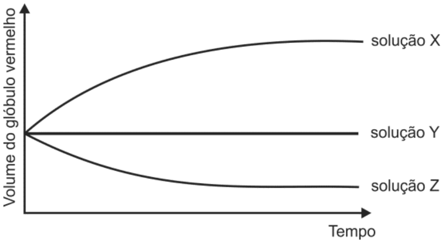 Gráfico do volume do glóbulo vermelho em função do tempo em três soluções distintas: a curva para a solução X é crescente até estabilizar; a curva para a solução Y é uma reta horizontal constante; a curva para a solução Z é decrescente até estabilizar.