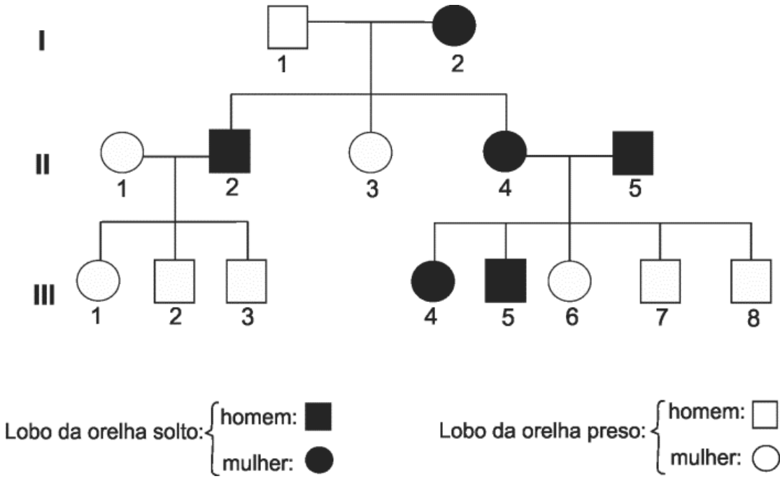 Heredograma de três gerações (I, II e III) representando a herança do lobo da orelha solto (símbolos preenchidos) ou preso (símbolos vazios). Na geração I, o homem 1 (preso) e a mulher 2 (solto) têm os filhos II-2 (homem, solto), II-3 (mulher, preso) e II-4 (mulher, solto). II-2 casa com II-1 (mulher, preso) e têm os filhos III-1 (mulher, preso), III-2 (homem, preso) e III-3 (homem, preso). II-4 casa com II-5 (homem, solto) e têm os filhos III-4 (mulher, solto), III-5 (homem, solto), III-6 (mulher, preso), III-7 (homem, preso) e III-8 (homem, preso).