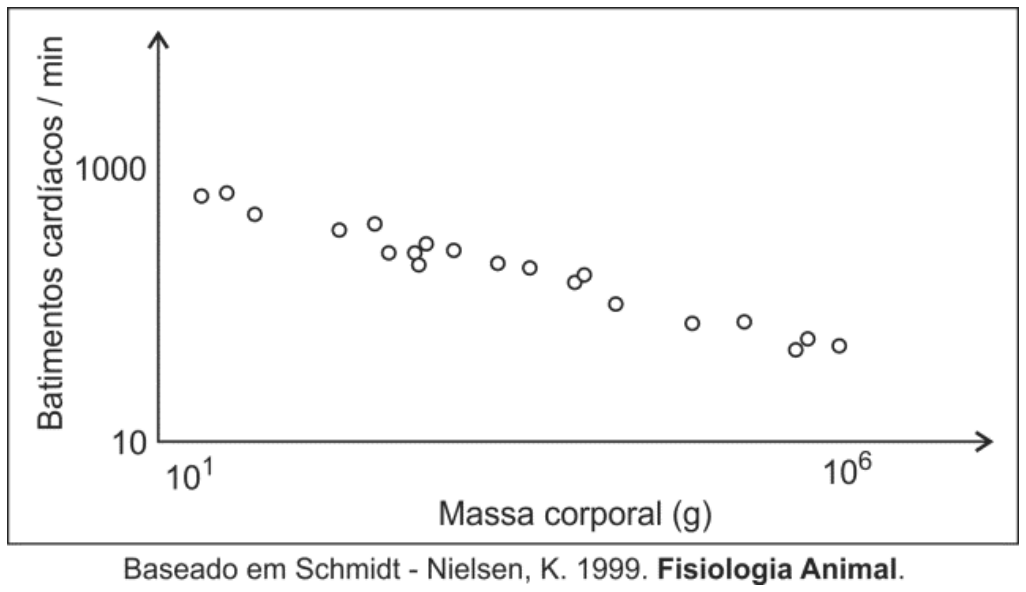 F1 Gráfico de dispersão relacionando a frequência cardíaca (em batimentos cardíacos por minuto, no eixo vertical) com a massa corporal (em gramas, no eixo horizontal, com valores de 10¹ a 10⁶), mostrando uma correlação negativa entre massa corporal e batimentos cardíacos.