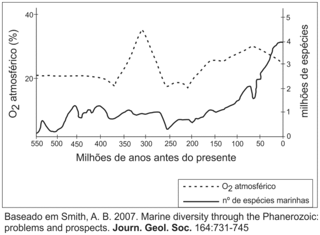 Gráfico de linhas com dois eixos verticais: o esquerdo indica O2 atmosférico em porcentagem, variando de 0 a 40, representado por linha tracejada; o direito indica milhões de espécies marinhas, variando de 0 a 5, representado por linha contínua. O eixo horizontal indica o tempo em milhões de anos antes do presente, variando de 550 a 0.