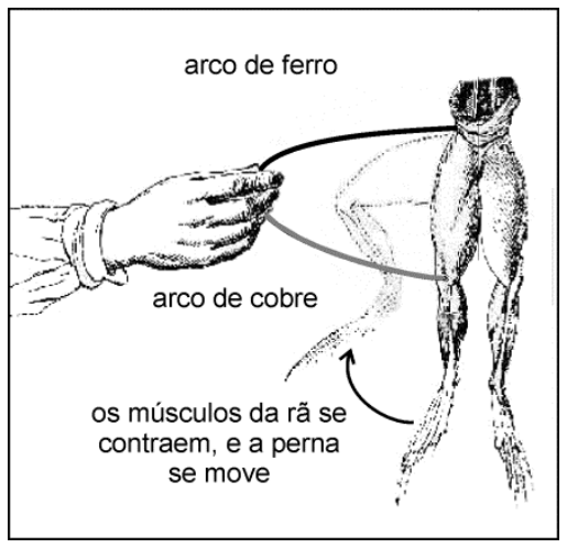 F1 Experimento de Luigi Galvani: uma mão segura dois arcos metálicos que se tocam, sendo um arco de ferro em contato com a parte superior do corpo de uma rã dissecada e um arco de cobre em contato com a perna da rã. Há uma representação tracejada da perna flexionada com uma seta indicando movimento e o texto: "os músculos da rã se contraem, e a perna se move".