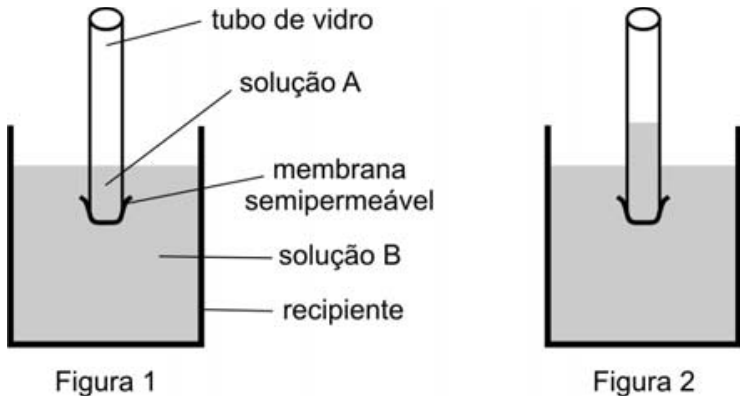 Esquema de experimento de osmose. Na Figura 1, um tubo de vidro contendo a solução A possui uma membrana semipermeável na extremidade inferior e está mergulhado em um recipiente com a solução B. Na Figura 2, após alguns minutos, o nível do líquido no interior do tubo de vidro subiu, ficando acima do nível do líquido no recipiente externo.
