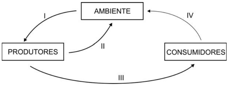 F1 Esquema com caixas retangulares representando AMBIENTE, PRODUTORES e CONSUMIDORES, conectadas por quatro setas curvas numeradas de I a IV: a seta I vai de AMBIENTE para PRODUTORES; a seta II vai de PRODUTORES para AMBIENTE; a seta III vai de PRODUTORES para CONSUMIDORES; a seta IV vai de CONSUMIDORES para AMBIENTE.
