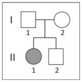 F1 Heredograma com duas gerações, I e II. Na geração I, um homem não afetado, representado por um quadrado branco e identificado como 1, está ligado a uma mulher não afetada, representada por um círculo branco e identificada como 2. O casal tem dois filhos na geração II: uma menina afetada, representada por um círculo cinza e identificada como 1, e um menino não afetado, representado por um quadrado branco e identificado como 2.