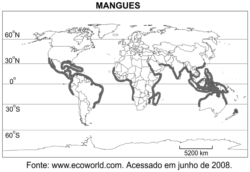 F1 Mapa múndi da distribuição global dos mangues, concentrados predominantemente em faixas litorâneas tropicais e subtropicais entre 30° N e 30° S.