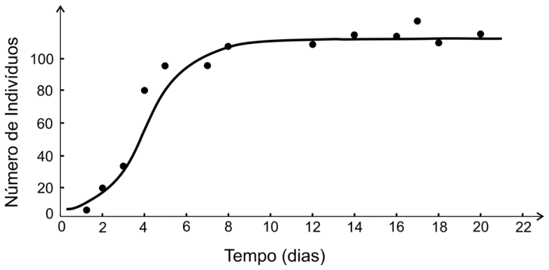 F1 Gráfico de curva de crescimento populacional sigmoide relacionando o "Número de Indivíduos" (eixo vertical, de 0 a mais de 100) com o "Tempo (dias)" (eixo horizontal, de 0 a 22). Pontos experimentais mostram um crescimento inicial rápido que se estabiliza a partir do dia 8 ligeiramente acima de 100 indivíduos.