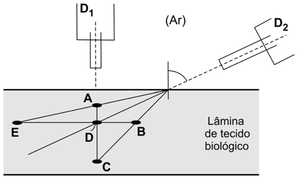 Esquema mostrando dois detectores ópticos, D1 e D2, posicionados no ar acima de uma lâmina de tecido biológico. O detector D1 está posicionado verticalmente e D2 inclinado obliquamente. Linhas tracejadas indicam suas linhas de visada atingindo a superfície da lâmina. Dentro da lâmina, linhas retas conectam os pontos de incidência a cinco pontos marcados com letras: A, B, C, D e E, dispostos em eixos ortogonais centrados no ponto D.