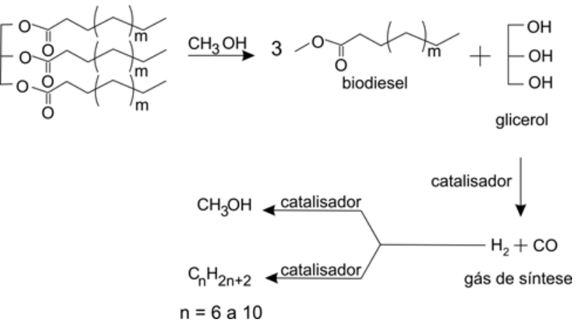 F1 Esquema da reação de transesterificação de óleo vegetal com metanol produzindo biodiesel e glicerol, seguido da conversão do glicerol com catalisador em gás de síntese (H2 + CO), que por sua vez pode ser catalisado em CH3OH ou Cn H2n+2 (com n = 6 a 10).