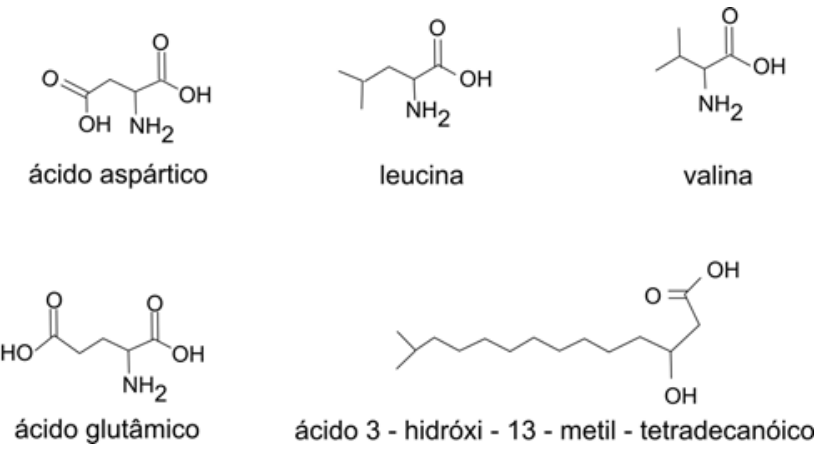 Fórmulas estruturais do ácido aspártico, leucina, valina, ácido glutâmico e ácido 3 - hidróxi - 13 - metil - tetradecanóico.
