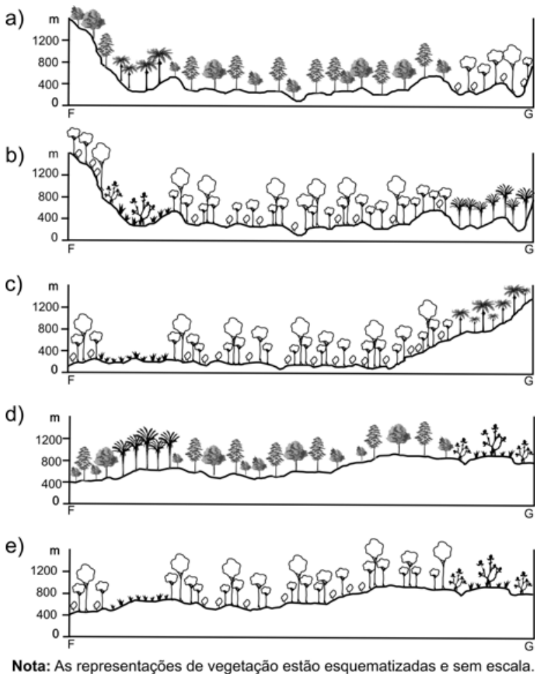 Cinco perfis de relevo e vegetação esquematizados ao longo do trajeto de F a G, identificados pelas letras a, b, c, d e e, com escala vertical de altitude em metros de 0 a 1200 m, acompanhados da nota de que as representações estão esquematizadas e sem escala.